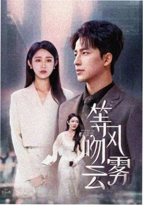 0855影视高清剧集雾港迷局在线观看封面
